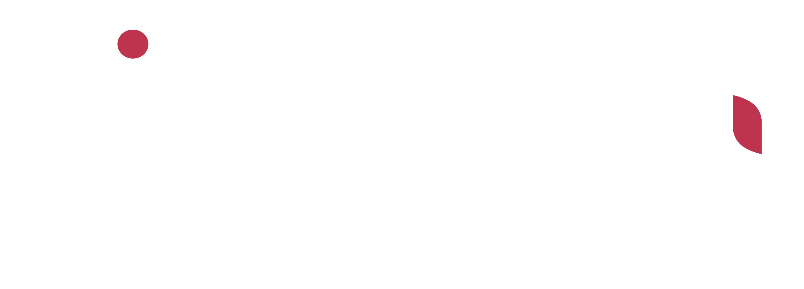 Logo sistema